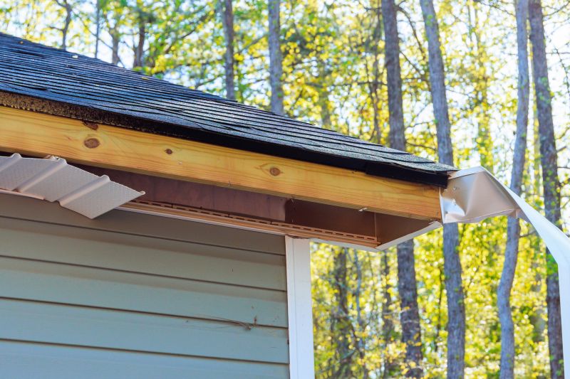 Garage Fascia Repair in Olathe, KS